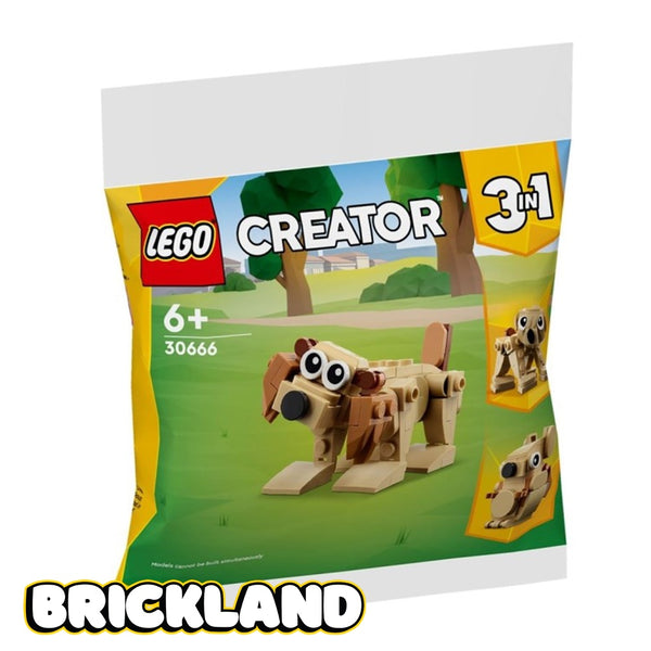 30666 שקית לגו קריאטור חיות מתנה - Lego