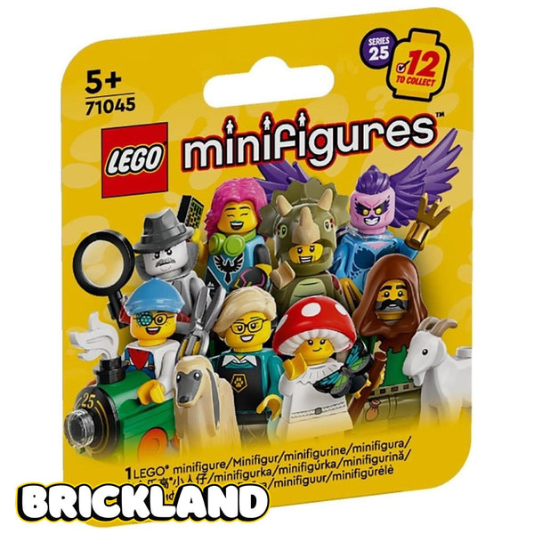 71045 שקית לגו דמות הפתעה סדרה (25)- Lego